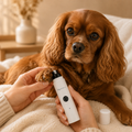 PawEase Electric Nail Grinder
