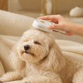PawMist™ Electric Steam Grooming Brush